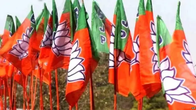 बीजेपी का झंडा