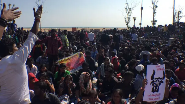 பெண்கள், இளைஞர்கள் பங்கேற்ற ஜல்லிக்கட்டு ஆர்ப்பாட்டம்