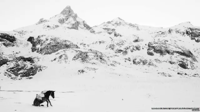 सोनी वर्ल्ड फोटोग्राफी अवॉर्ड 2017
