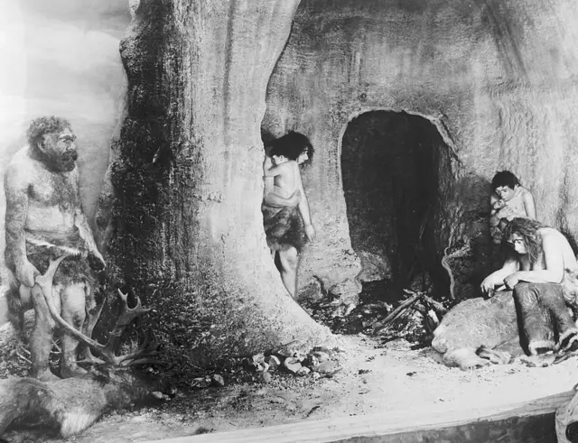 మానవ చరిత్ర