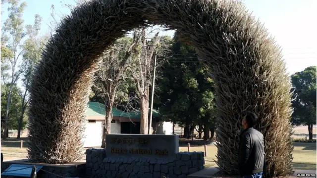 कान्हा टाइगर रिज़र्व