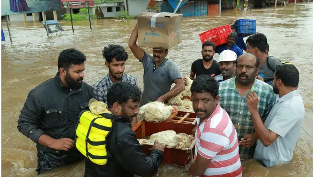 కేరళ వరదలు, ర్యాట్ ఫీవర్