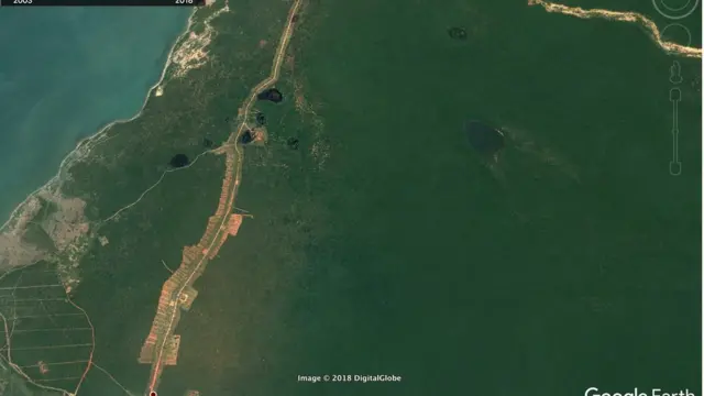 විල්පත්තුව ආශ්‍රිත එළිකිරීම්