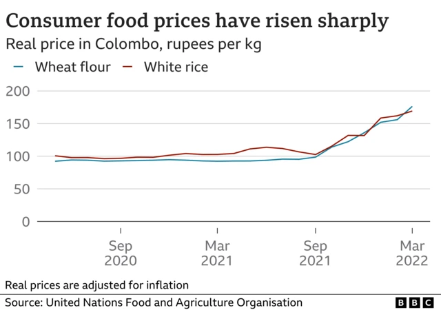 Line chart showing rising prices of wheat flour and white rice in Colombo