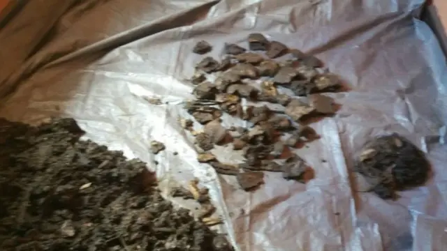 Mifupa midogo sana na nywele zimepatikana baada ya baadhi ya mashimo kufukuliwa