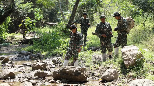 วีรยา โอชะกุล