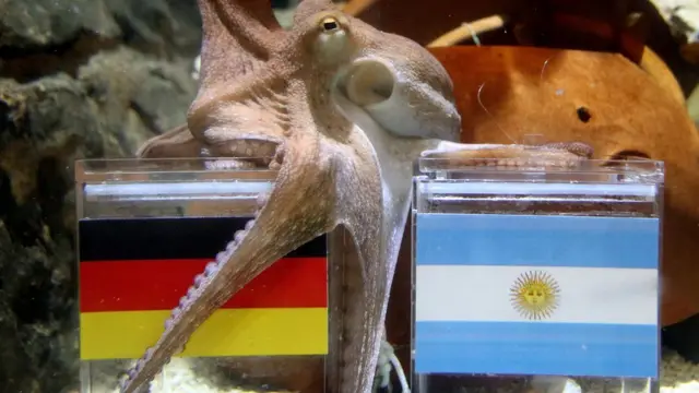 الأخطبوط بول