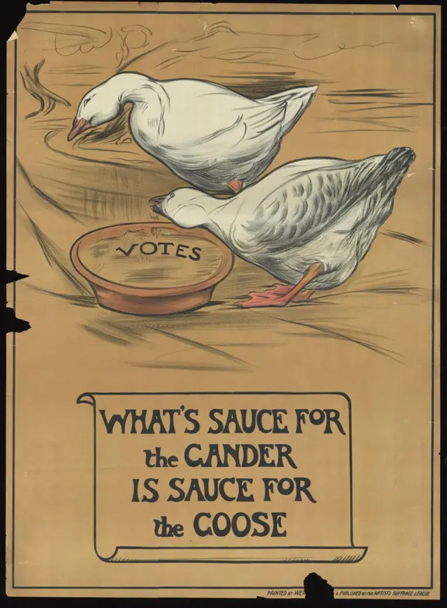 Два гуся едят одинаковыю пищу