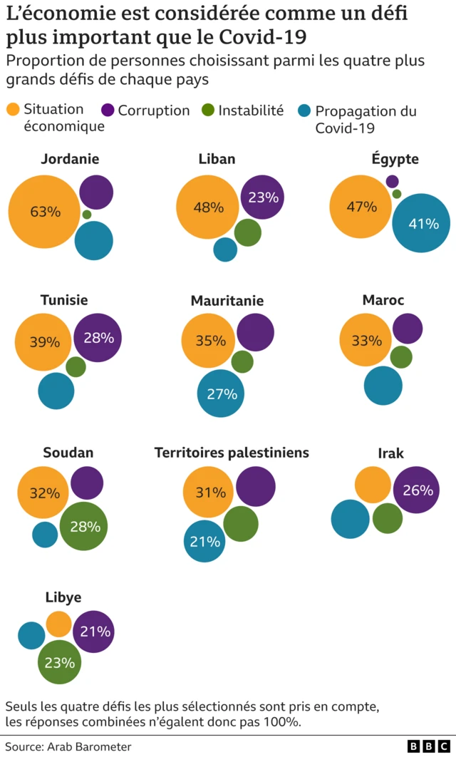 Opinion pays arabe sur le principal défi