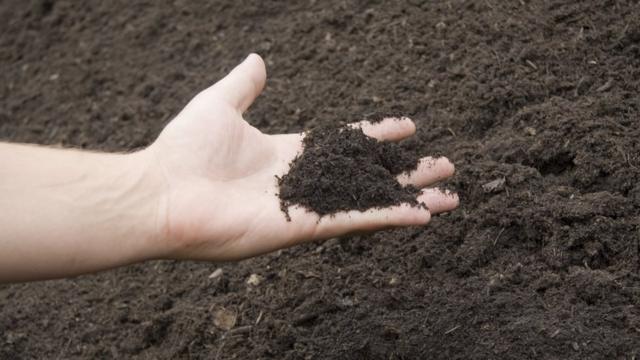 리컴포즈가 제안하는 방식을 사용하면 가족의 시신을 사용 가능한 흙으로 만들 수 있다