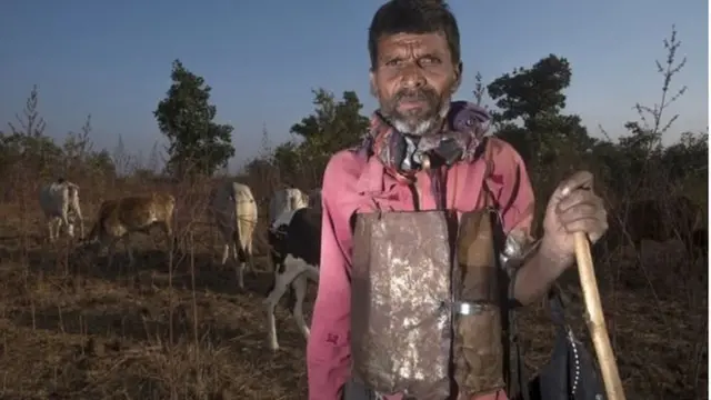 అడవిలోకి పశువులు మేపడానికి వెళ్లేవారు ఒంటికి ఇనుప రేకులు చుట్టుకుని వెళ్తున్నారు. పులి దాడి చేసినా గాయపడకుండా ఈ ప్రయత్నం.