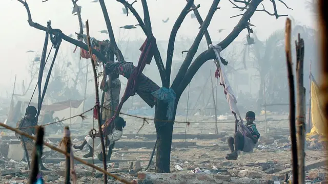 సునామీ ప్రభావిత ప్రాంతం