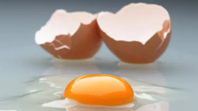 Яєчні жовтки