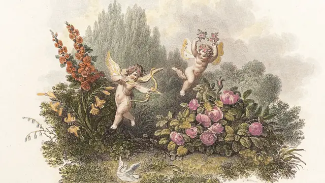 Parte de retrato de Erasmus Darwin