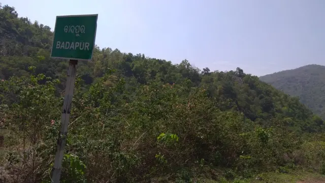 అటవీ ప్రాంతం