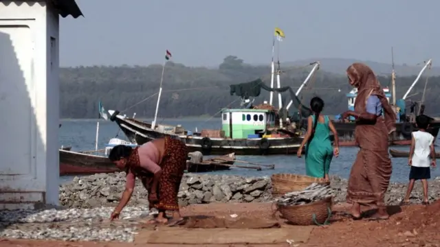 कोकणच्या मासेमारीचं काय होणार? असा प्रश्न पर्यावरणतज्ज्ञ विचारतात.