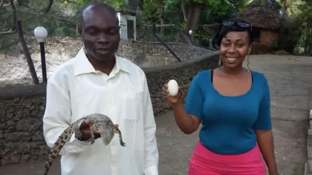 Mamba wengi watakuwa wamebeba mayai mwezi Desemba