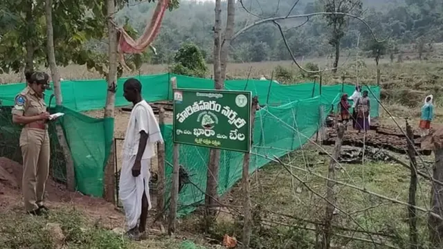 హరితహారం