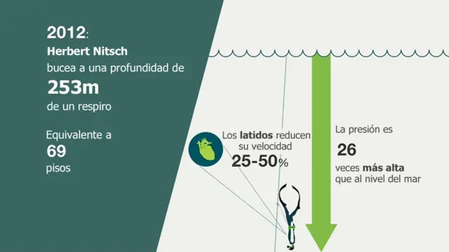 Guía animada cuán lejos ha llegado el cuerpo humano