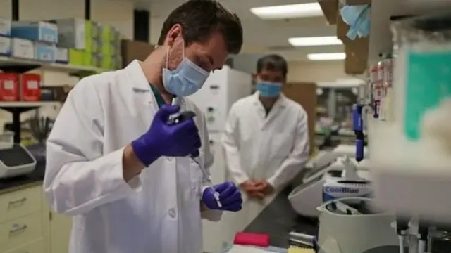 कोरोना वायरस