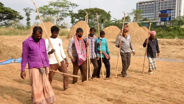 বাংলাদেশের কৃষিখাতে শ্রমিক ষঙ্কট করোনাভাইরাস মহামারির সময় আরো তীব্র হয়েছে।