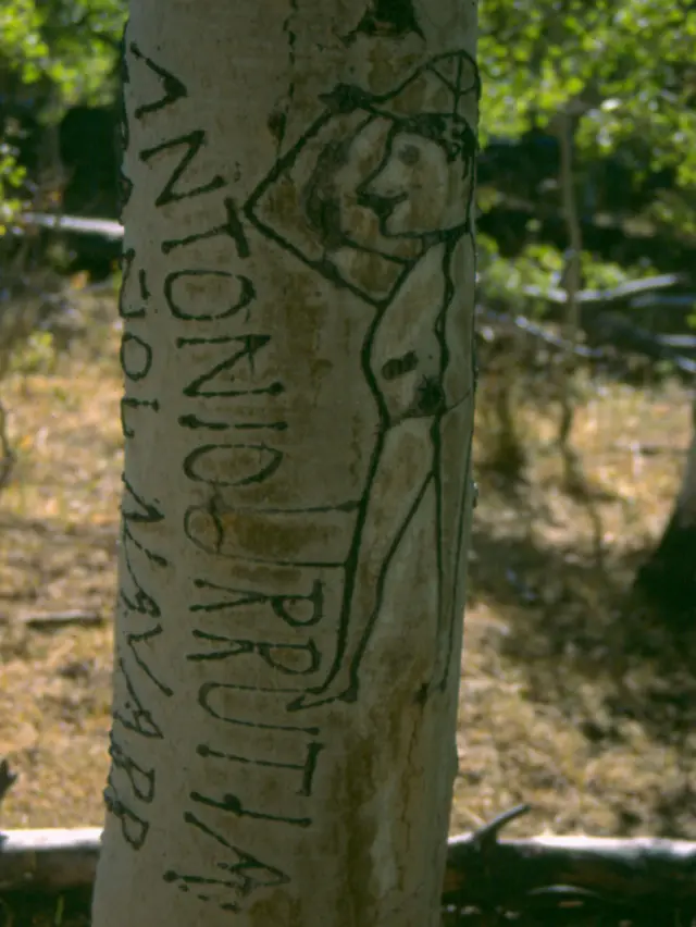Un autorretrato de Antonio Urrutia de Navarra, España.