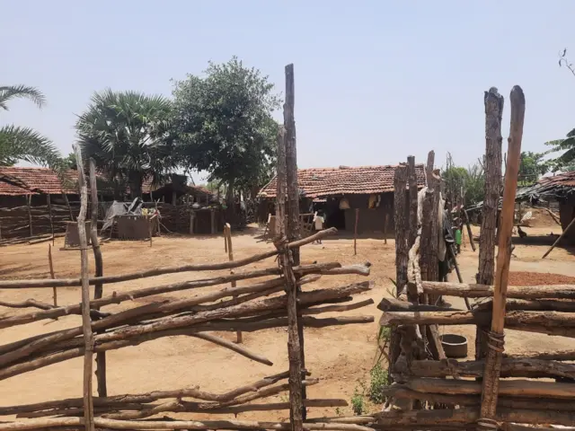 గుత్తి కోయలు