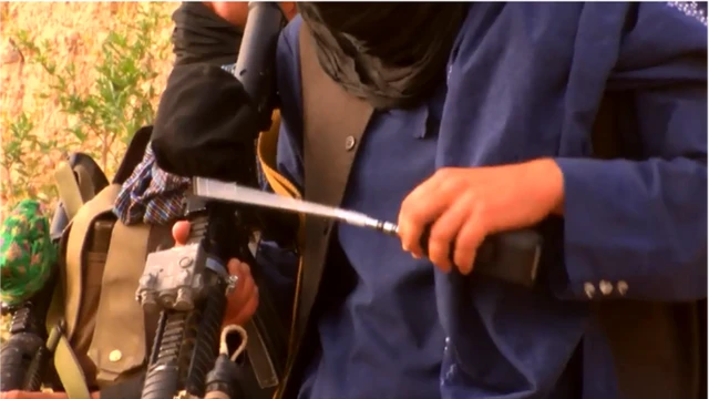 আফগানিস্তানে তালেবানের সংখ্যা কমেনি, বরং বেড়েছে।