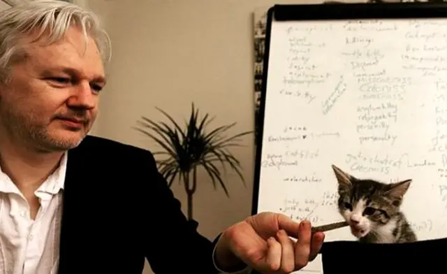 जूलियन असांजे अपनी बिल्ली के साथ
