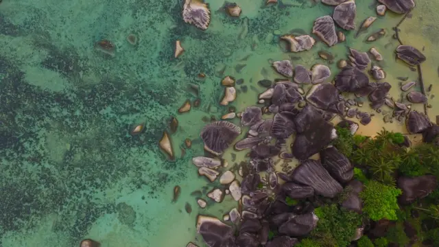 Alif Stone Park adalah taman laut berbatu yang berlokasi di pantai Desa Sepempang, Kecamatan Bunguran Timur, Kabupaten Natuna, Provinsi Kepulauan Riau.