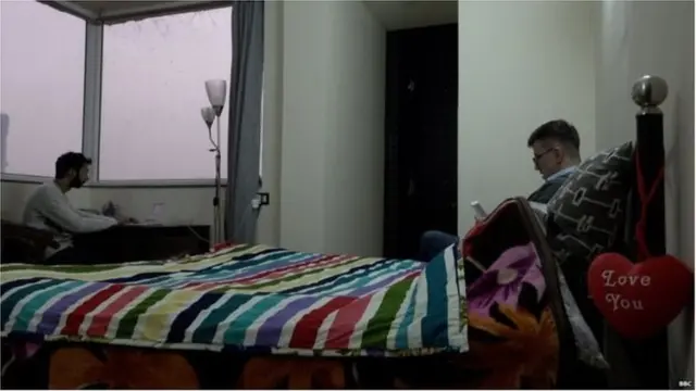 ہریش، ایلیکس