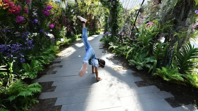 Devojčica se igra u staklenoj bašti u Singapuru.