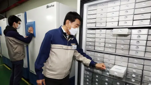 일부 백신 유통과 보관에는 초저온 냉동고가 필요하다