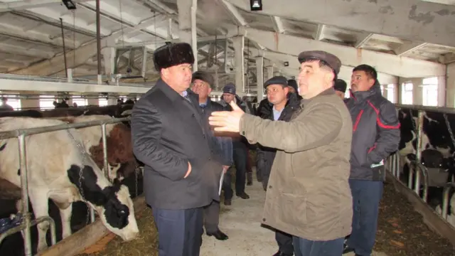 Айыл чарба министрлигинде жети департамент, үч борбор жана борбордук аппаратында 11 бөлүм бар