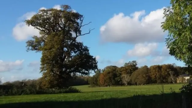 'சாலை திட்டம் சூழலியலை பாதிக்கும்' - எதிர்க்கும் பிரிட்டன் மக்கள்