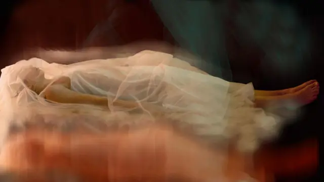 Ako želite da razumete svoj um, morate slediti svoje snove