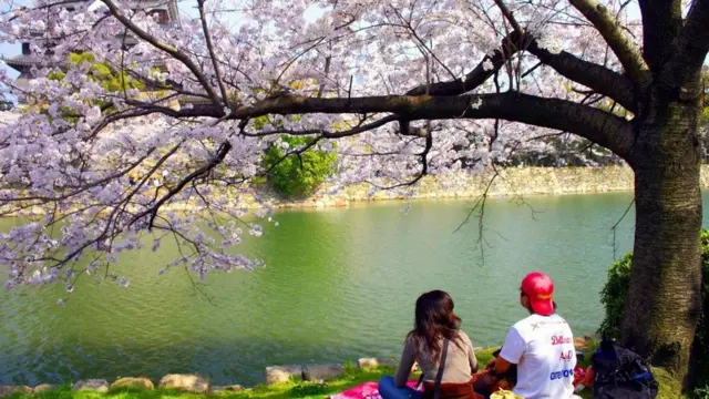 المهارة التي استلهمها العالم من اليابانيين