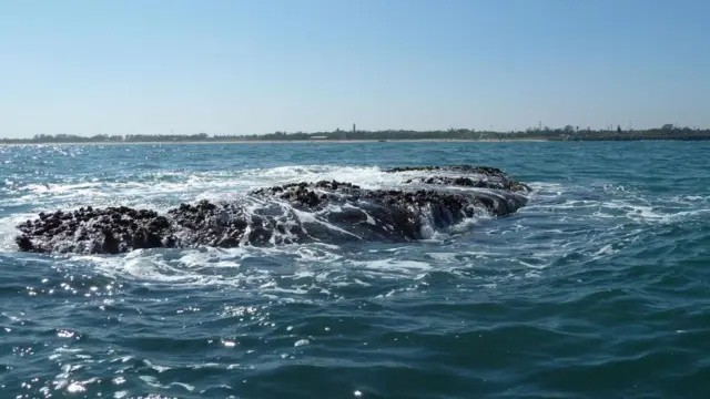 મહાબલિપુરમ્ પાસે જળગરકાવ થઈ ગયેલાં એક મંદિરની તસવીર