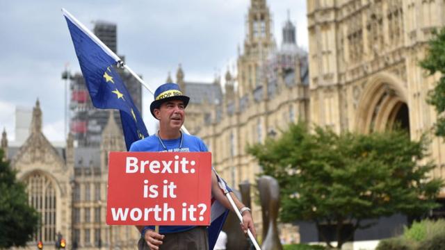 Пикет за ЕС у парламента Британии
