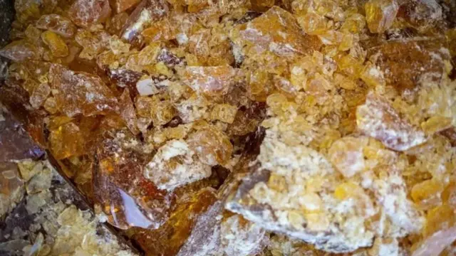 ਚੀੜ ਰੇਜ਼ਿਨ