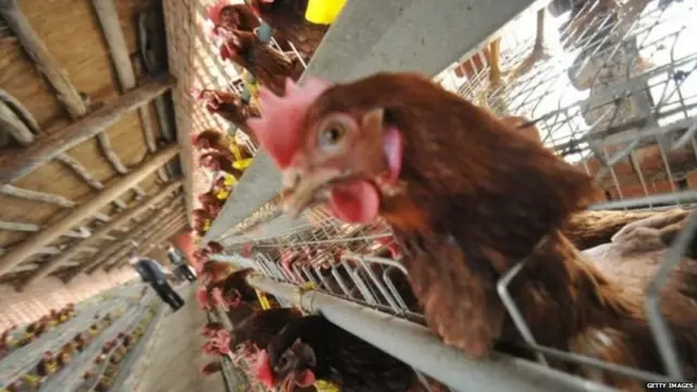 कोरोना वायरस के बारे में जानकारी