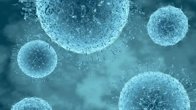 Virus