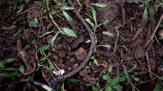 Una cuerda en el lugar donde mataron a Vilma Trujillo.