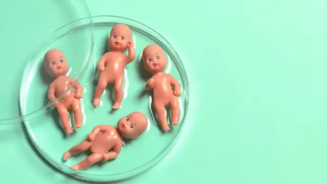 सांकेतिक तस्वीर