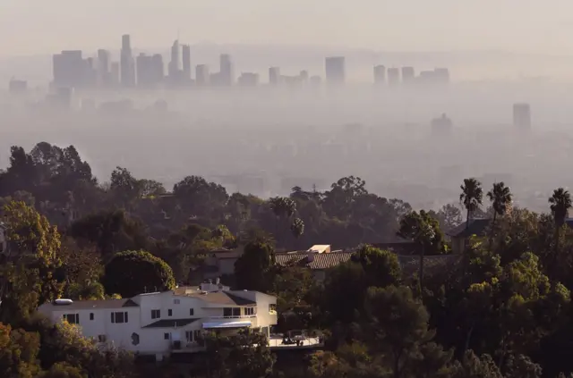 米斯蒂到洛杉矶后，问题就开始了。