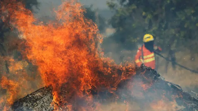 Llamas y bombero