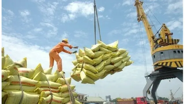 Hoạt động xuất khẩu gạo