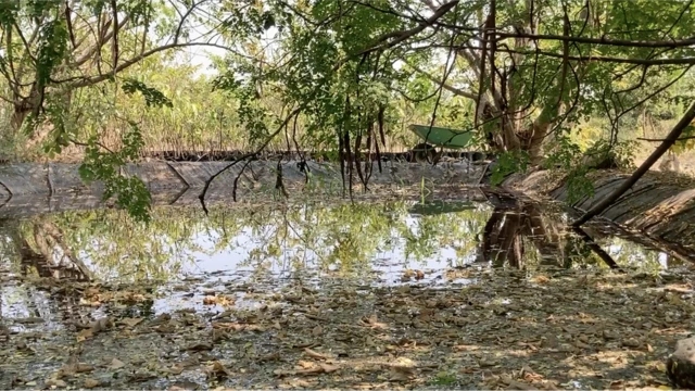 అమేయ కృషి వికాస కేంద్రం, బాల్ రెడ్డి