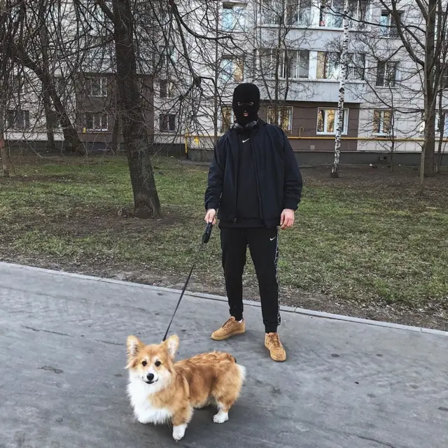 фарди с собакой