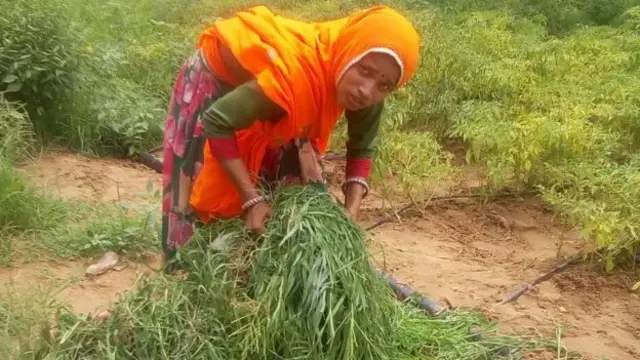 எட்டு வயதில் திருமணம், பருவ வயதில் வயல்வெளியில்; தடை பல கடந்து இப்போது மருத்துவக் கல்லூரியை நோக்கி...